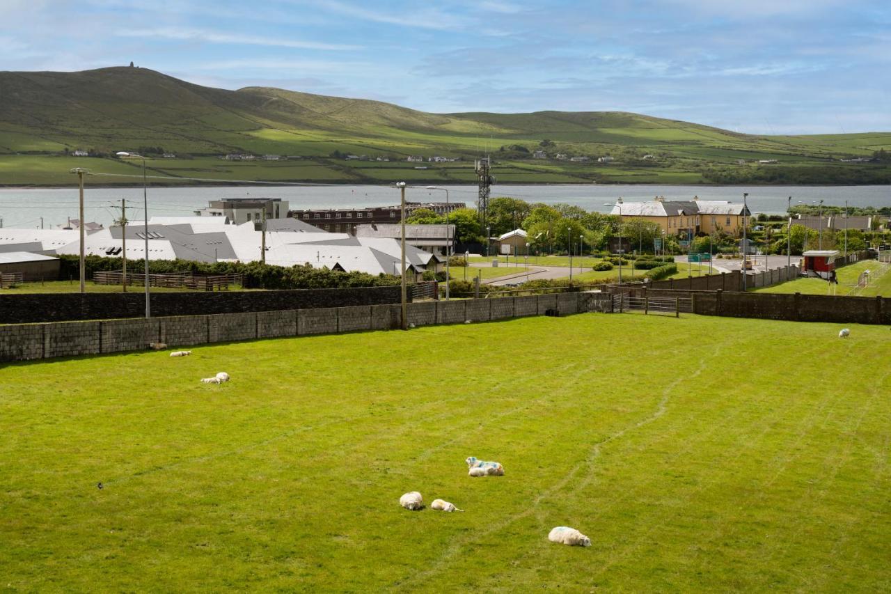 Seaview Heights Bed and Breakfast Dingle Eksteriør billede